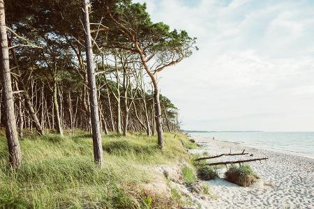 Deutsche Ostsee: So schön sind die Strände