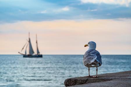 Das sind die schönsten Strände an der deutschen Ostsee Warnemünde