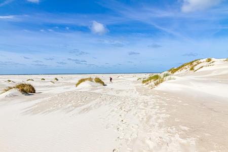 Kniepsand Amrum Deutsche Nordsee: So schön sind die Strände