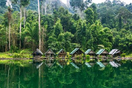 Thailand, Khao Sok Nationalpark