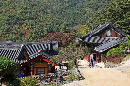 Stark betroffen ist auch die Provinz Gyeongsangbuk-do (Nord-Gyeongsang) in Südkorea. Im Süden der Provinz liegt Daegu, die v...