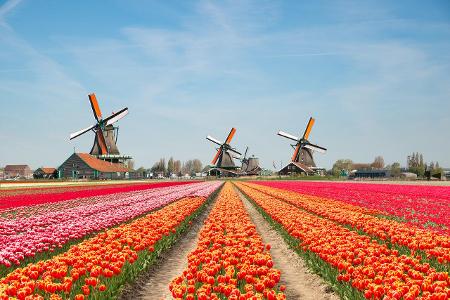 Herbsturlaub: Reisewarnung für die Niederlande