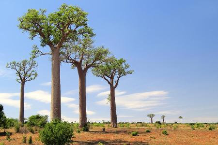 Welches Visum benötige ich, um nach Madagaskar einreisen zu können?