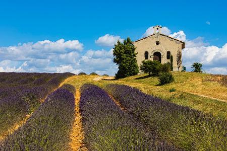 Die spektakulärsten Schaltjahr-Bräuche der Welt Ernte Frankreich