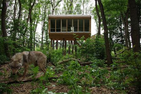 7.1 Tree Inn kleiner01- Tree InnWolf.jpg