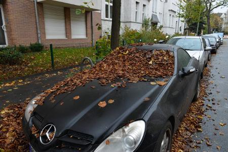 Auto imago schöning.jpg Auto imago schöning.jpg