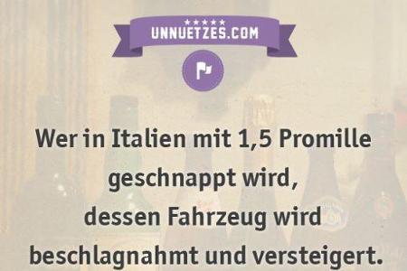 Das witzigste unnütze Wissen der Welt