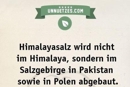 Das witzigste unnütze Wissen der Welt