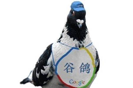 In China setzt Google auf Tauben zur Informationsübertragung.