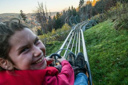 Alpensee Coaster Sommerrodelbahn in Immenstadt