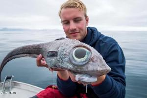 Angler fängt Seeungeheuer mit Riesen-Augen vdt