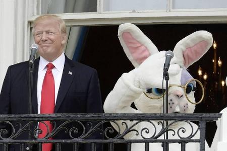 Zurück zu amüsanteren Themen: An Ostern präsentierte sich Trump neben dem obligatorischen Hasen. US-Medien machten sich eine...