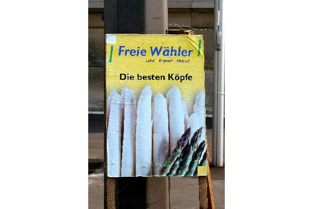 imago Horst Rudel Frei Wähler.jpg