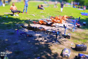 Polizei beendet Grillwahnsinn: 12 Schafe im Park gegrillt 