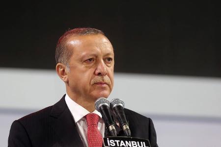 Erdogan imago