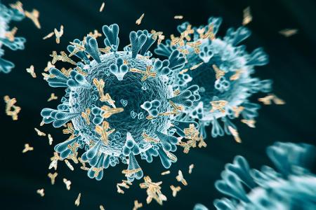Corona-Mutationen breiten sich weiter aus
