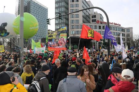 Hamburg Fridays for Future Plakate Luftballons Streik Demo