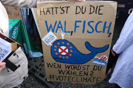 Hamburg Fridays for Future Plakat