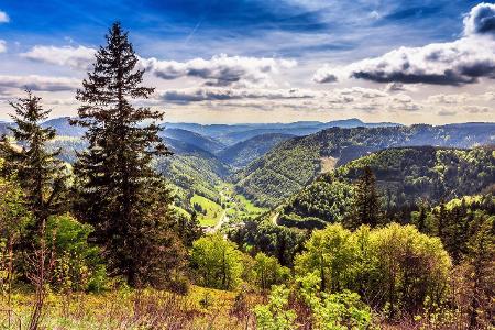 ThinkstockPhotos-476550070.jpg