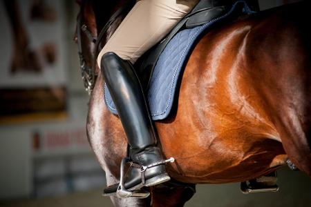Reit- und Angelsportler aufgepasst! Gebrauchte Reit- und Angelausrüstung darf ausschließlich mit einem gültigen Reinigungsze...