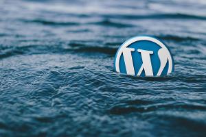 WordPress: Diese Funktionen bietet das beliebte CMS