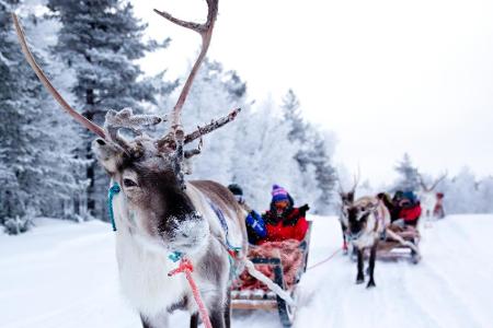 Platz 1: Finnland. Kristallklare Seen und unberührte Natur machen es nur logisch, dass Finnland erneut den Titel des glückli...