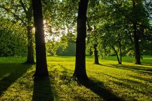 Chillen vor der Haustür: Deutschlands schönste Stadtparks