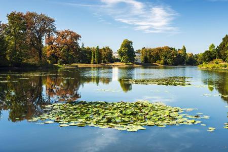 Dessau-Wörlitzer Gartenreich imago images imagebroker.jpg