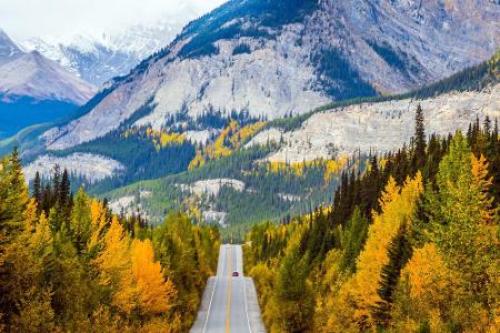 54.153 Mal verlinkten Instagram-User mit #icefieldsparkway die berühmte Straße in Alberta, Kanada. Auch hier gilt die Route ...