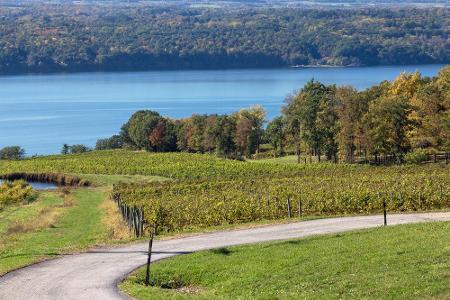 Die Finger Lakes Highways im Norden von New York grenzen an ganze elf Seen. Zudem wird in der Region Wein angebaut, weshalb ...