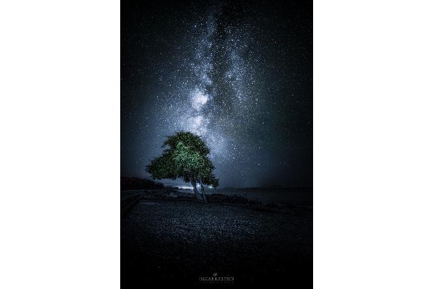 Galactic tree-Rhodes,Greece.jpg