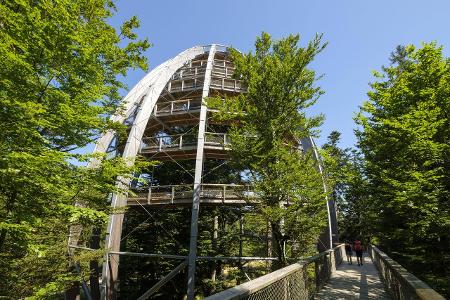 Schönste Baumwipfelpfade: Bayerischer Wald