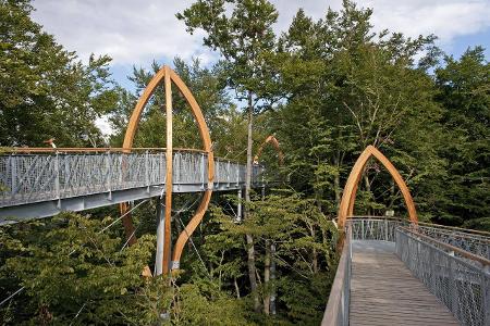 Baumwipfelpfad TreeTopWalk am Kellerwald