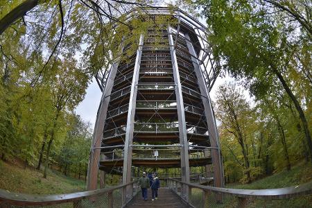 Schönste Baumwipfelpfade: Naturerbezentrum Rügen