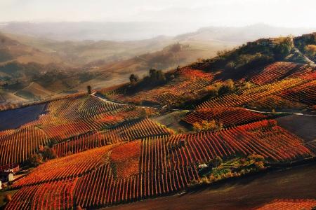 02_22099_wine.jpg