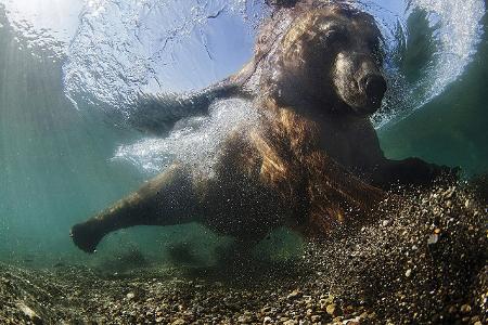 02_4158_Natura.jpg