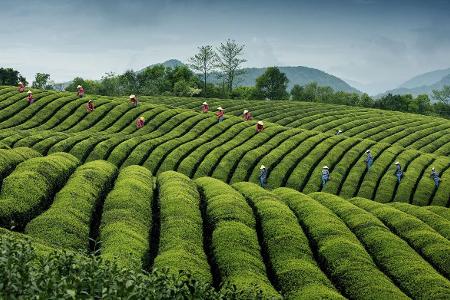 HM_26899_TRAVEL.jpg