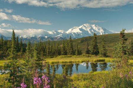 ThinkstockPhotos-504582124.jpg