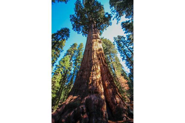 ThinkstockPhotos-576894872.jpg