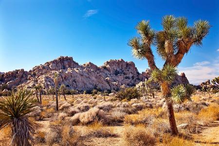 ThinkstockPhotos-508378343.jpg