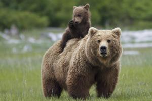 25 Naturschönheiten: Diese US-Nationalparks müssen Sie sehen!