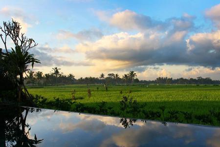 Die Reisterrassen von Tegalalang auf Indonesien sind weltweit bekannt und beliebt bei den Touristen. Wer sie bestaunen will ...