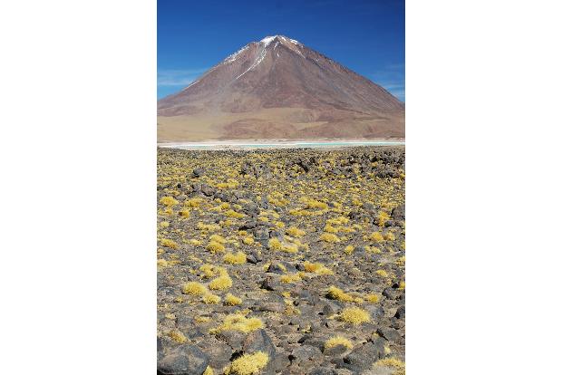 ThinkstockPhotos-636013560.jpg