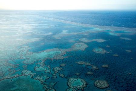 Erst kürzlich haben Forscher für das Korallenriff eine erschütternde Prognose gestellt: Das Great Barrier Reef ist nicht meh...