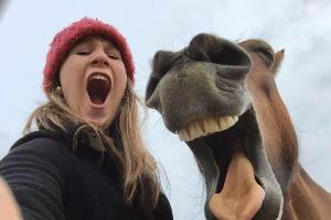 Tierisch: Die witzigsten Haustier-Fotos 2017