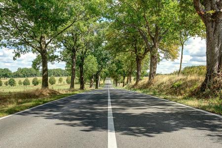 Ganze 2.900 Kilometer lang ist die Deutsche Alleenstraße. Über zehn Bundesländer erstreckt sich die romantische Strecke, die...