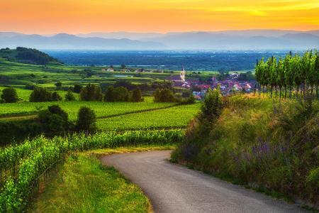 Die Schwarzwaldhochstraße führt von Freudenstadt nach Baden-Baden. Die gesamte Strecke bietet einen herrlichen Ausblick auf ...