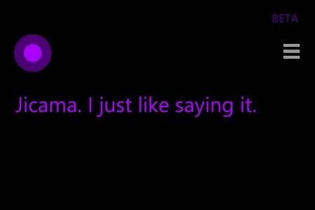 "What is your favorite food?"