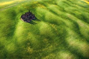 Himmlische Aussichten: Die besten Drohnenfotos 2016