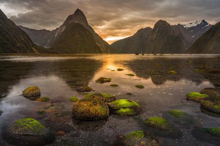 12.500 km² Fläche! Der Fiordland-Nationalpark ist der größte Nationalpark Neuseelands und allemal eine Reise wert. Schon Bil...